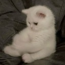 emoji_36 emote