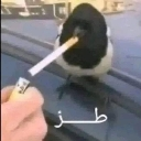 emoji_59 Emote