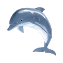grinderdolphin emote
