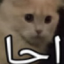 N_054 Emote