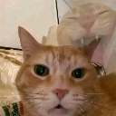 emoji_34 Emote