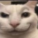 freaky_cat emote