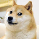 doge Emote