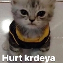 Beloved_Hurt_Krdeya emote