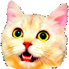 Partycat emote