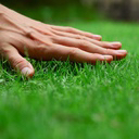 touchgrass Emote