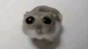 why Emote