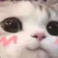 Screenshot20260413211229 Emote