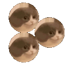 Z_TomaSpinning emote