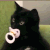 Cat_baby emote
