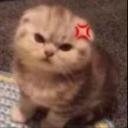 399808kittymad Emote