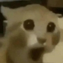 O_ emote
