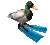 7517duckwithflippers emote