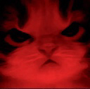 SH_cat_angry Emote