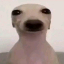 R_ Emote