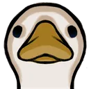GooseStare emote