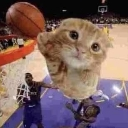 cat_baller Emote
