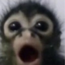 wao Emote