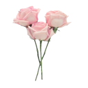 flower37429549745 emote