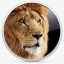 lion emote