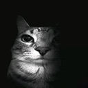 stare emote