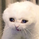 emoji_17 emote