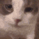 catkiss Emote