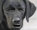 emoji_5 Emote