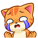 catcry emote