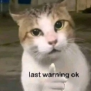 lastwarning emote