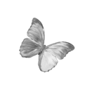 010_greybutterfly emote