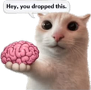 NoBrain Emote