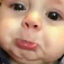 z_zoruli emote