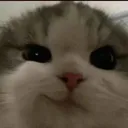 mirks emote