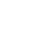 n5 Emote