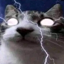 jugocallate Emote
