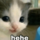 Screenshot20260505at122005AM emote