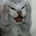 emoji_50 Emote