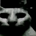 emoji_66 emote