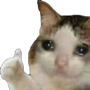 sadcat Emote