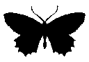 ButterflyBlack emote