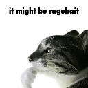 emoji_9 emote