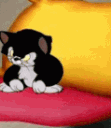 9zybcatslumped emote