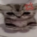 angrykitty Emote