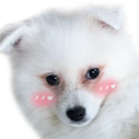 CocoBlush Emote