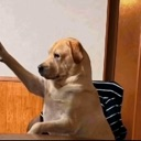 emoji_53 Emote