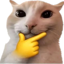CATTHINK emote