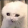 Screenshot20260413203717 Emote