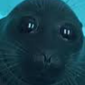 goober Emote
