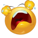 BRUHHHHH emote